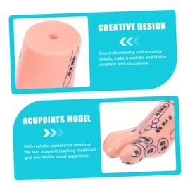 SAFIGLE Foot Massage Model for Acupoint Teaching Realistic Display Lifelike Details for Foot Therapy and Relaxation