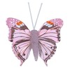 MIK funshopping Colourful Butterfly Clip On Decoration (10 Piece Set,