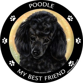 Poodle - Black Best Friend Car, Refrigerator Magnet