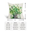 Kawani St Patricks Day Pillow Covers 18x18 Inch Set of