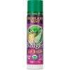 Badger HIGHLAND MINT Classic Lip Balm USDA Organic With Beeswax