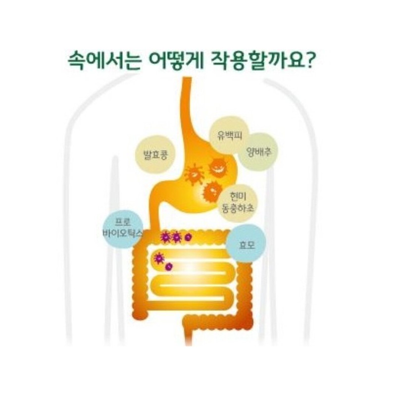 바이셀 가스트로 엔자임 G 특허균주 발효물 아밀라아제 코디세핀 포스트바이오틱스 10포