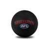 Essendon Bombers AFL Footy High Bounce Ball