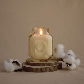 Paddywax Botanica Scented Candle with Lid in Reusable Embossed Glass Jar, Clean-Burn Soy Candle with Approx. 56 Hour Burn Time, Cotton & Teak, 8 oz