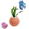 AnRui Medium Pottery Jar for Fixing Aquatic Plants, Anti-Floating Ceramic