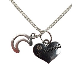 Silver Plated Necklace Princess Love Heart Gem Charm