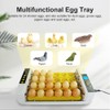 24 Eggs Incubator with Automatic Egg Turning, Humidity Control and