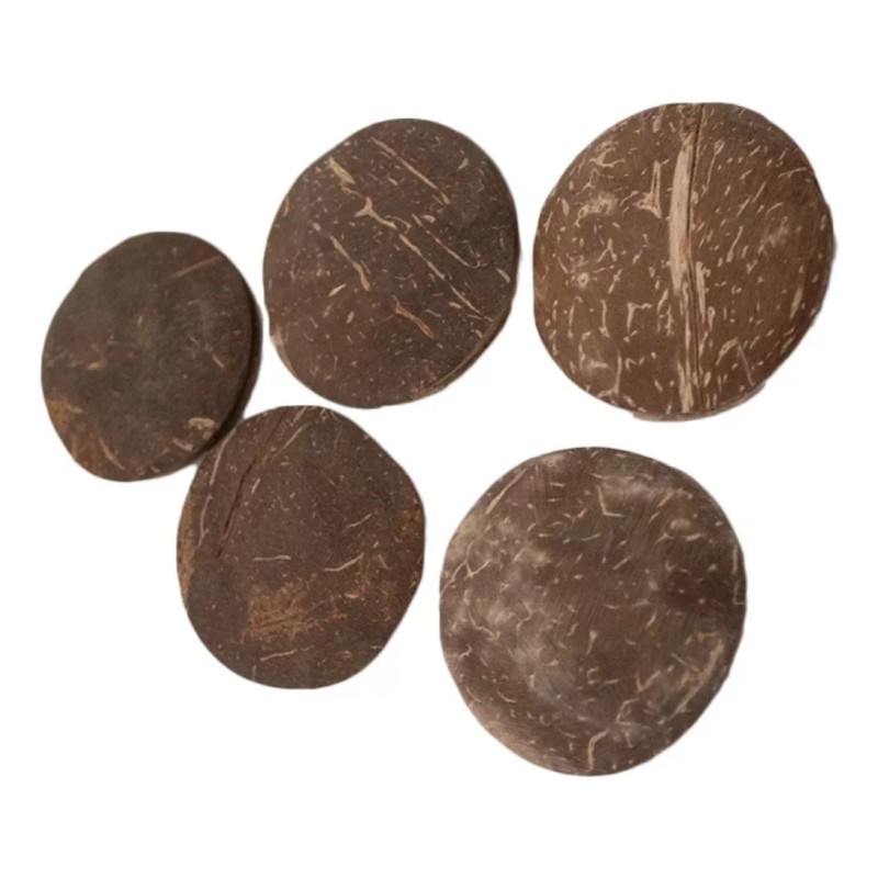 Chamalongos Cascara De Coco Juego De 5 Piezas
