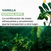 Yves Rocher Cremas Manos Hidratantes Aromas Energizantes Estimulantes Verbena Limón