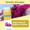 Bougainvillea Fertilizer, Complete Liquid Bougainvillea Plant Food, 8 oz (250mL)