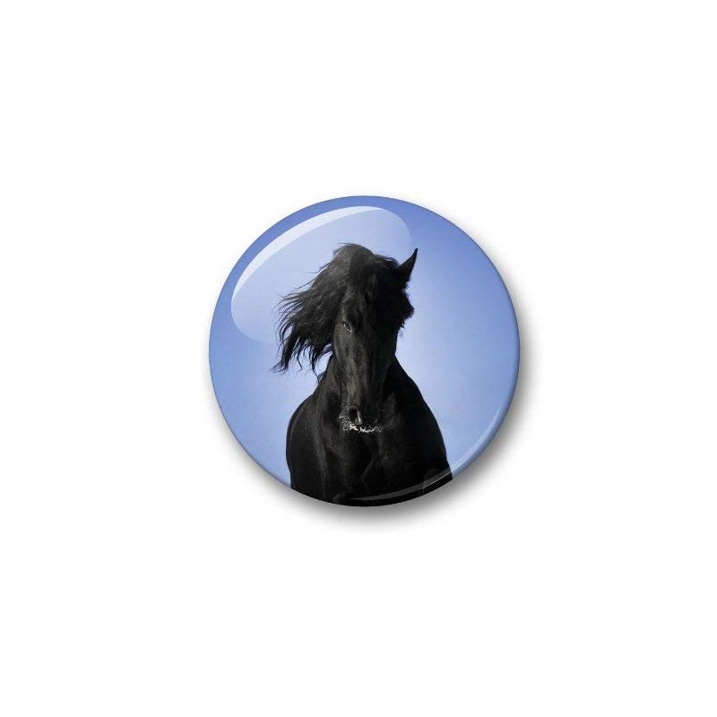04 Large Fridge Magnets for Memo Board / Notice Board
