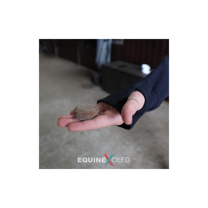 Equine Exceed Calmer Bites™ - 10 Bites - Calming Treats