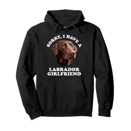 Funny Chocolate Labrador Dog Owner Pullover Hoodie