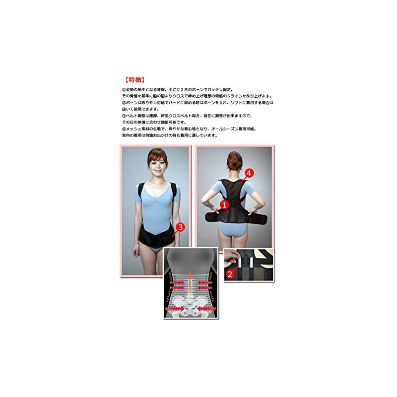 Access Pelvic Back Muscle S Line Belt M - L