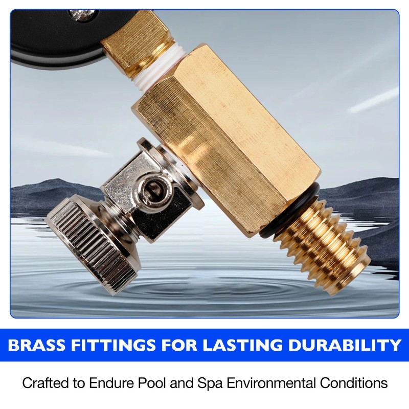 Zodiac Jandy Filter Pressure Gauge Air Relief Valve Assy For