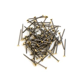 Design61 100x Steel Picture Nail 1.4 x 26 mm