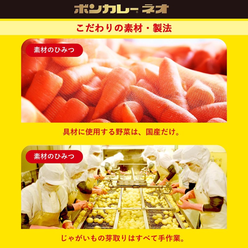 Otsuka Foods Bon Curry Neo Original 8.1 oz (230 g)