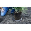 Digger’s 1-Gallon Root Guard Speed Baskets for Plants, Control Gopher