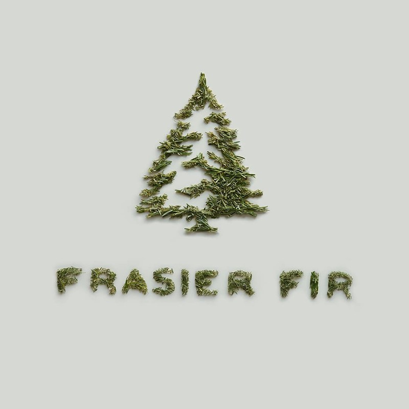 Thymes Soft Surface Scrub - Frasier Fir - Multipurpose Surface