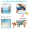 Dog Clothes Cooling Shirts for Small Dogs Boy Girl Yorkie