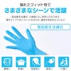Iris Ohyama RNBR-100L Nitrile Rubber Gloves, Large, 100 Pieces, Disposable,