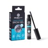 Colorsport Shape & Control Brow Gel in Clear - 10ml,