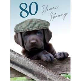 Noel Tatt - 80th Male Birthday Card - 80 Years Young Puppy Wearing Flat Cap - For Him