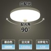ORALUCE SCL12D-R02 Motion Sensor Ceiling Light, Small, Daylight Color, 12