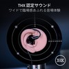 Razer Moray Hybrid Dual Driver and Ergonomic Shape, In-Ear Monitor,