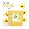 Productos Mart Mexico Agua de Hamamelis y Benjuí Tónico Facial