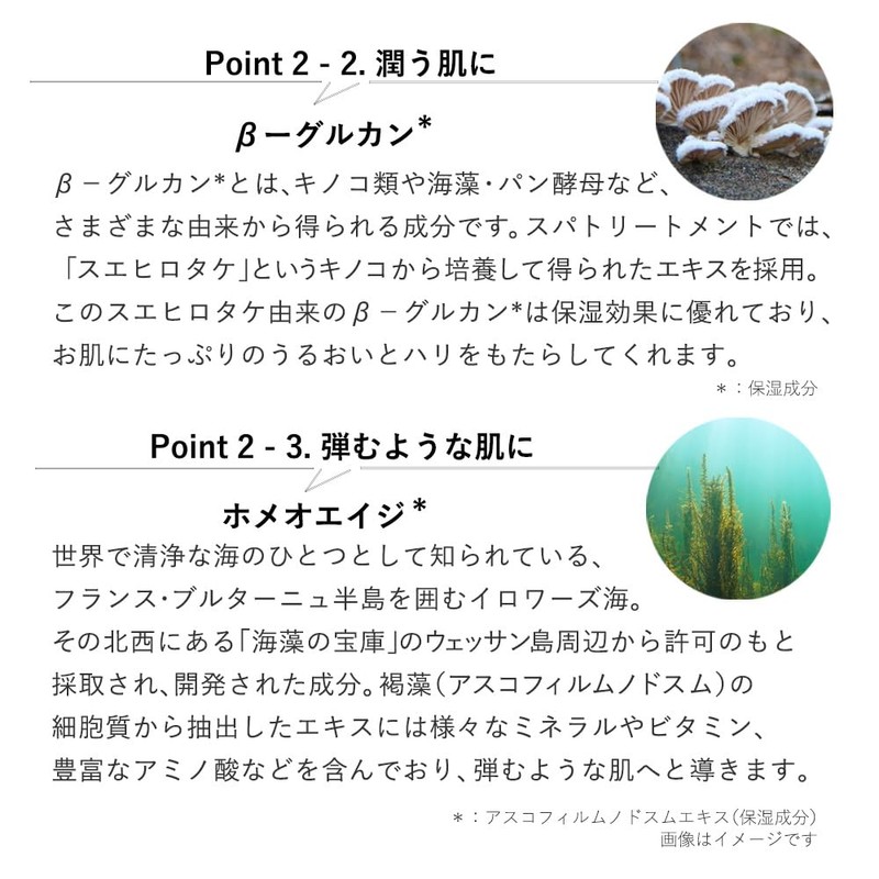 Spa Treatment HAS Lamella Mask 3.2 oz (90 g)