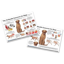 Blue Tree Publishing Dog 10 Health Concern Chart, double side laminated chart, A4 size, Anatomy & Veterinary Physiology Canine - For Vet Nurses And Students.
