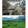Special Jasmine Tea and Butterfly Mark, 7.1 oz (200 g)