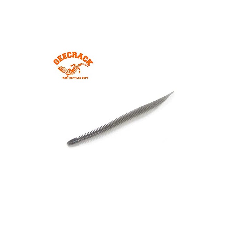 Geekrack Bellows Stick, 2.8 inch SAF Material, GEECRACK BELLOWS STICK