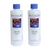 Spa Choice 472-3-1001-02 Metal Free Stain Remover for Spas, 1-Pint,