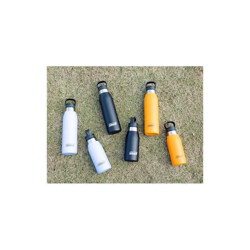 Coleman Double Stainless Steel Bottle 590 (Black)