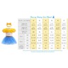 Dressy Daisy Disfraz Vestido Princesa Jessie Body Mamelucos con Diadema