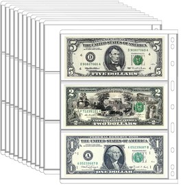 Ettonsun 10 Sheets Paper Money Collection Pages,Currency Sleeves,Currency Holder Collection Supplies Album Pages for Travel Bill Banknote Stamp Paper Souvenirs Storage