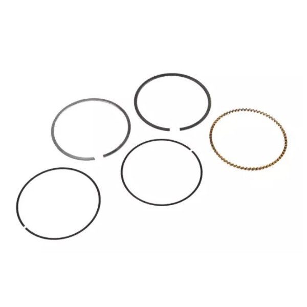 Genuine OEM New Genuine GM OEM Engine Piston Ring Kit