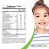 NaturesPlus Animal Parade Children's Chewable Multivitamin - Grape Flavor -