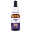 Living Essences Yellow Flag Flower Essence 100 ml