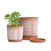 D'vine Dev Set of 2 Terracotta Pots, 4 Inch &