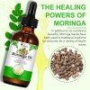 Aceite Moringa Anti Acne+ Estrías +cicatrices+ Cabello Seco Moringa