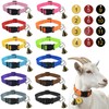 12 Pack Adjustable Goat Collars with Bells Numbered Tags