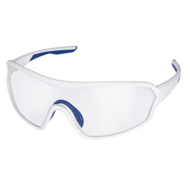 CHARMANT ES276WH 99 WH Anti-Fog Splash Protection Protective Glasses Eye Guard Work Goggles