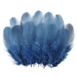300pcs Mixed Color Feathers Bulk 3-5 Inch Natural Rooster Feathers for Dream Catchers DIY Kids Crafts Party Jewelry DecorationColor: navy Blue, Feather Size (L x W): 3-5 Inch/8-10CM