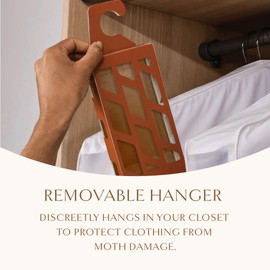 Hayden Hill Moth Traps for Clothes & Closets - 3-Pack - Refillable and Odor-Free Moth Traps for House Indoor - Pheromones for Clothing Protection