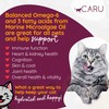 Caru - Classics Chicken Stew for Cats - Healthy Functional