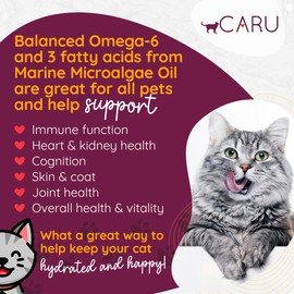 Caru - Classics Chicken Stew for Cats - Healthy Functional Wet Cat Food or Food Topper - Balanced Omega Blend - 5.5 oz Cartons - Pack of 4