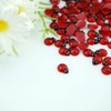 FAZHBARY 150 PCS Resin Ladybugs Flat Back Tiny Ladybugs Ornaments